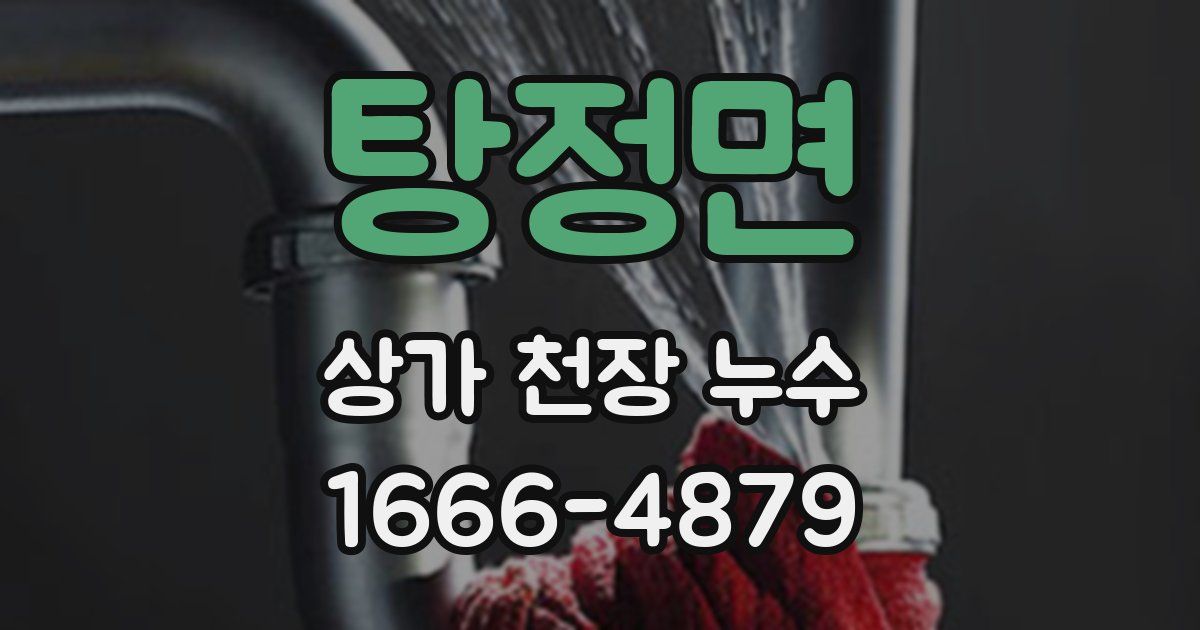 탕정면 상가 천장 누수