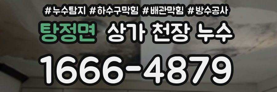 탕정면 상가 천장 누수