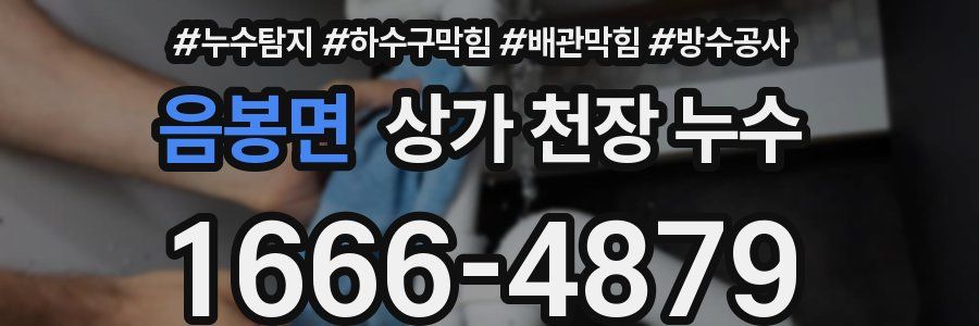 음봉면 상가 천장 누수