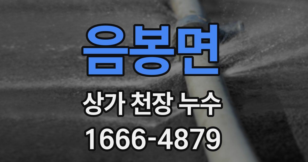 음봉면 상가 천장 누수