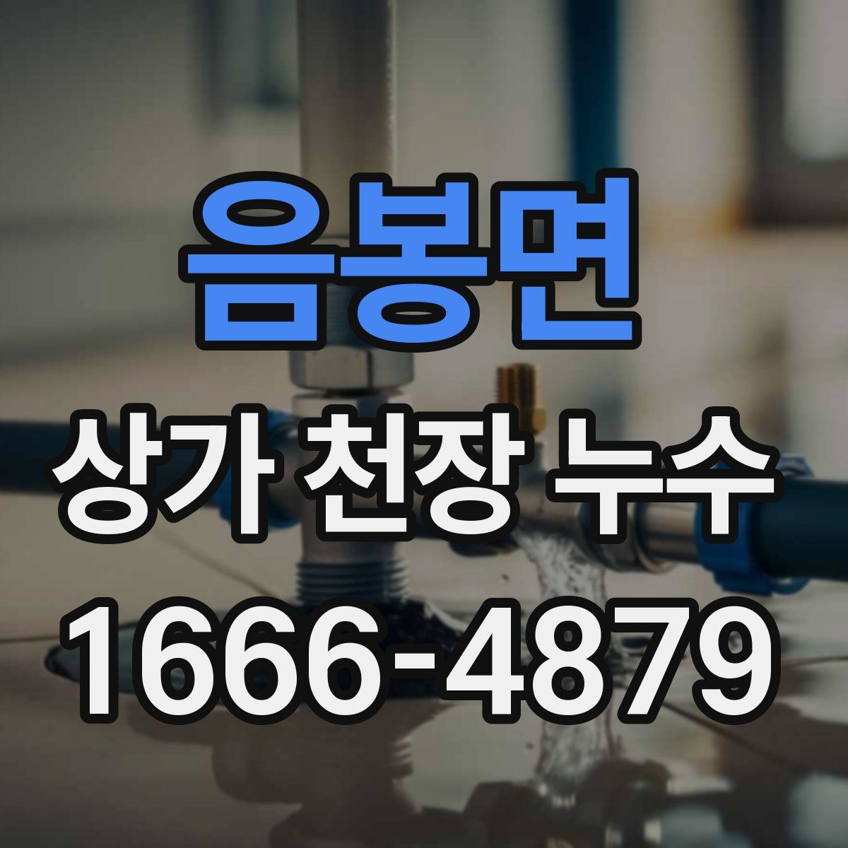 음봉면 상가 천장 누수