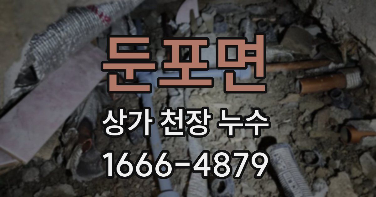 둔포면 상가 천장 누수