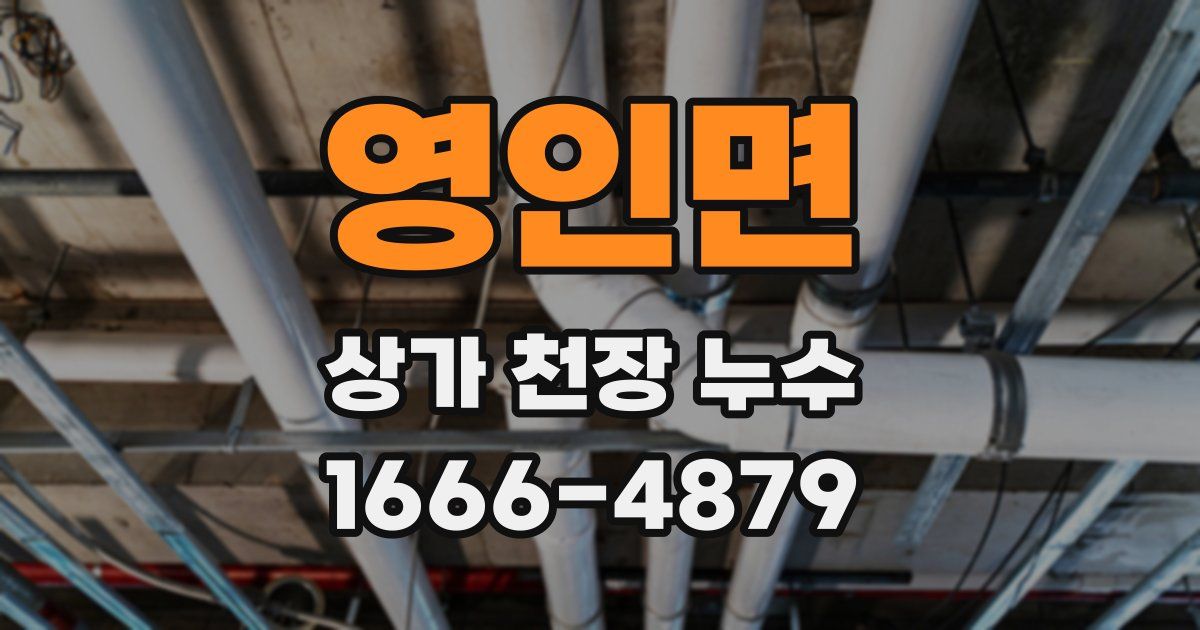 영인면 상가 천장 누수
