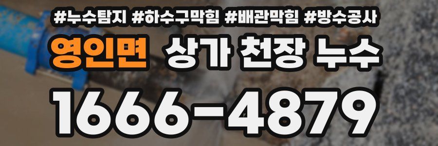 영인면 상가 천장 누수