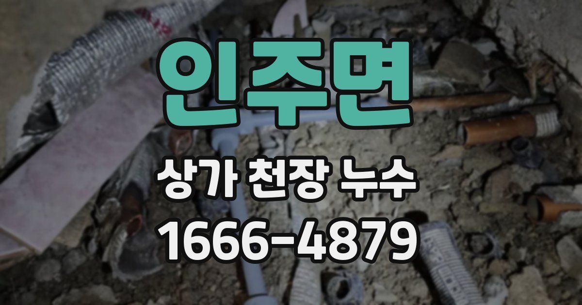 인주면 상가 천장 누수