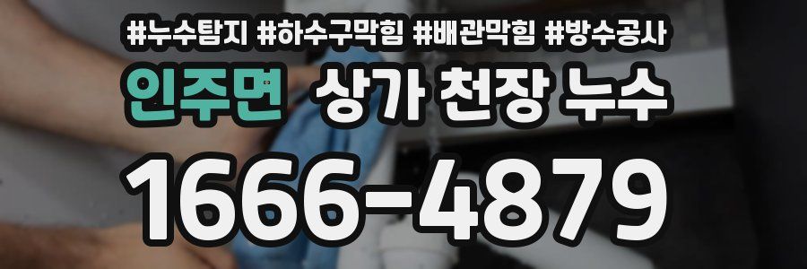 인주면 상가 천장 누수