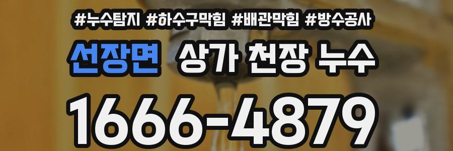 선장면 상가 천장 누수