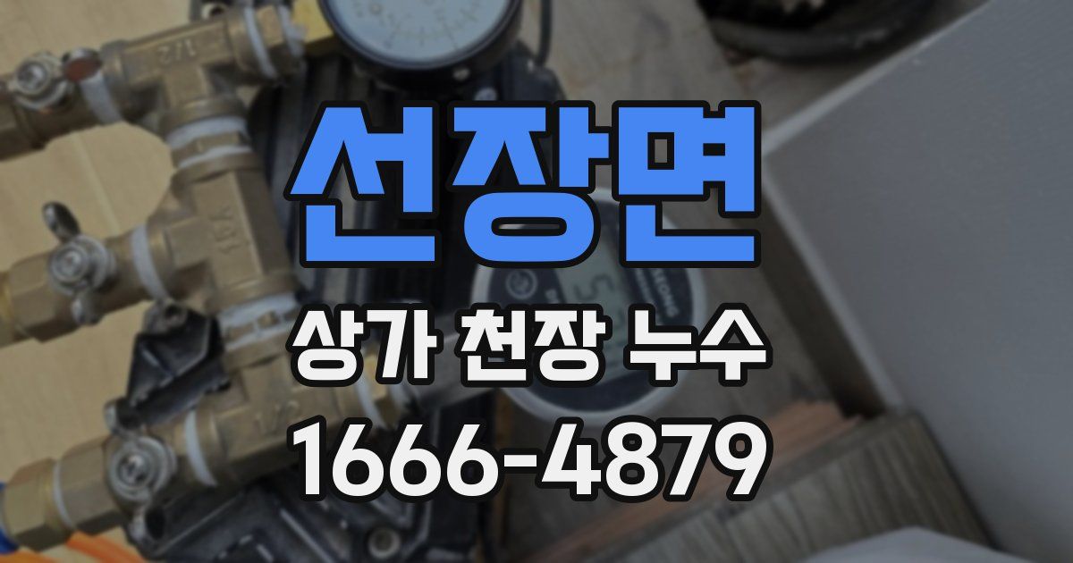 선장면 상가 천장 누수