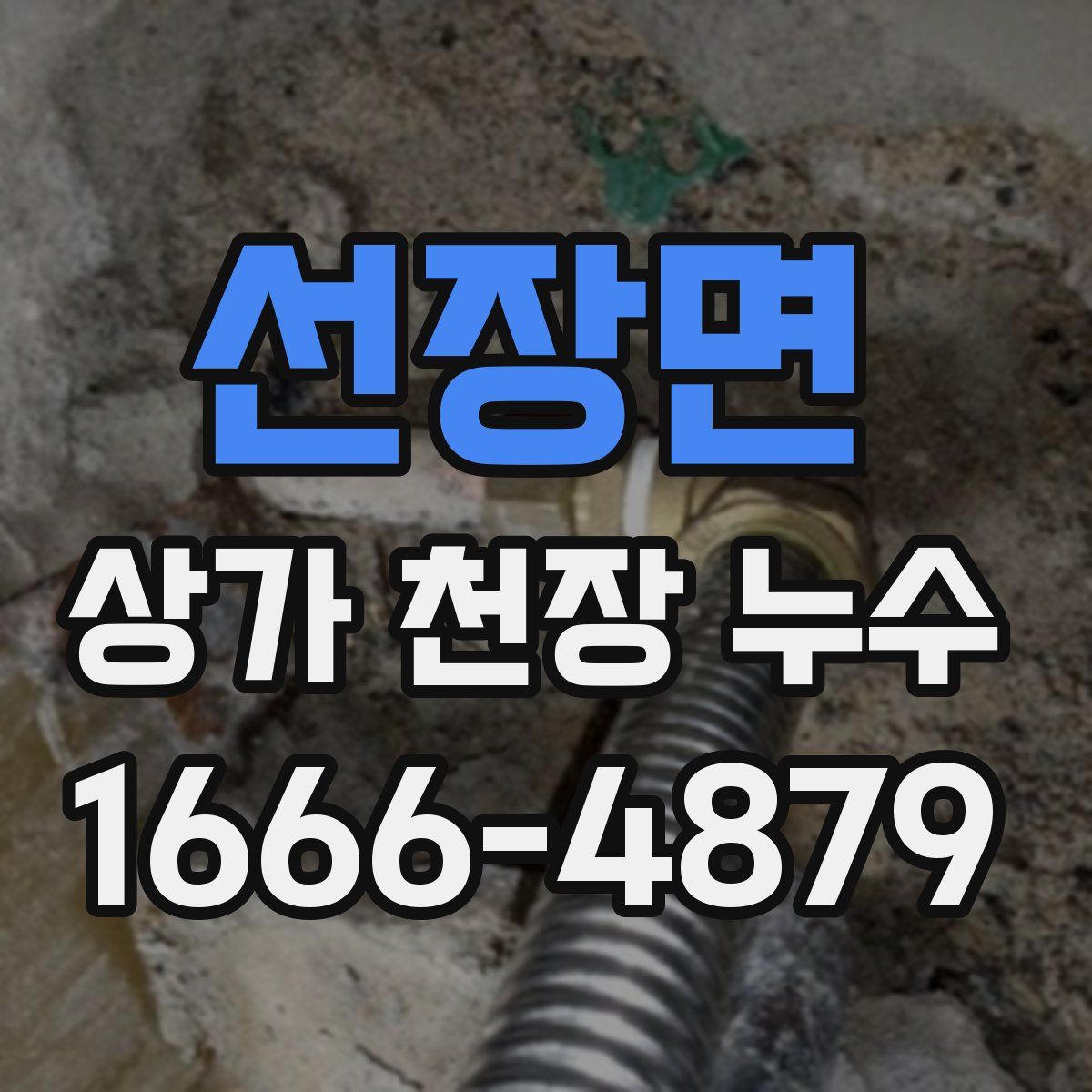 선장면 상가 천장 누수