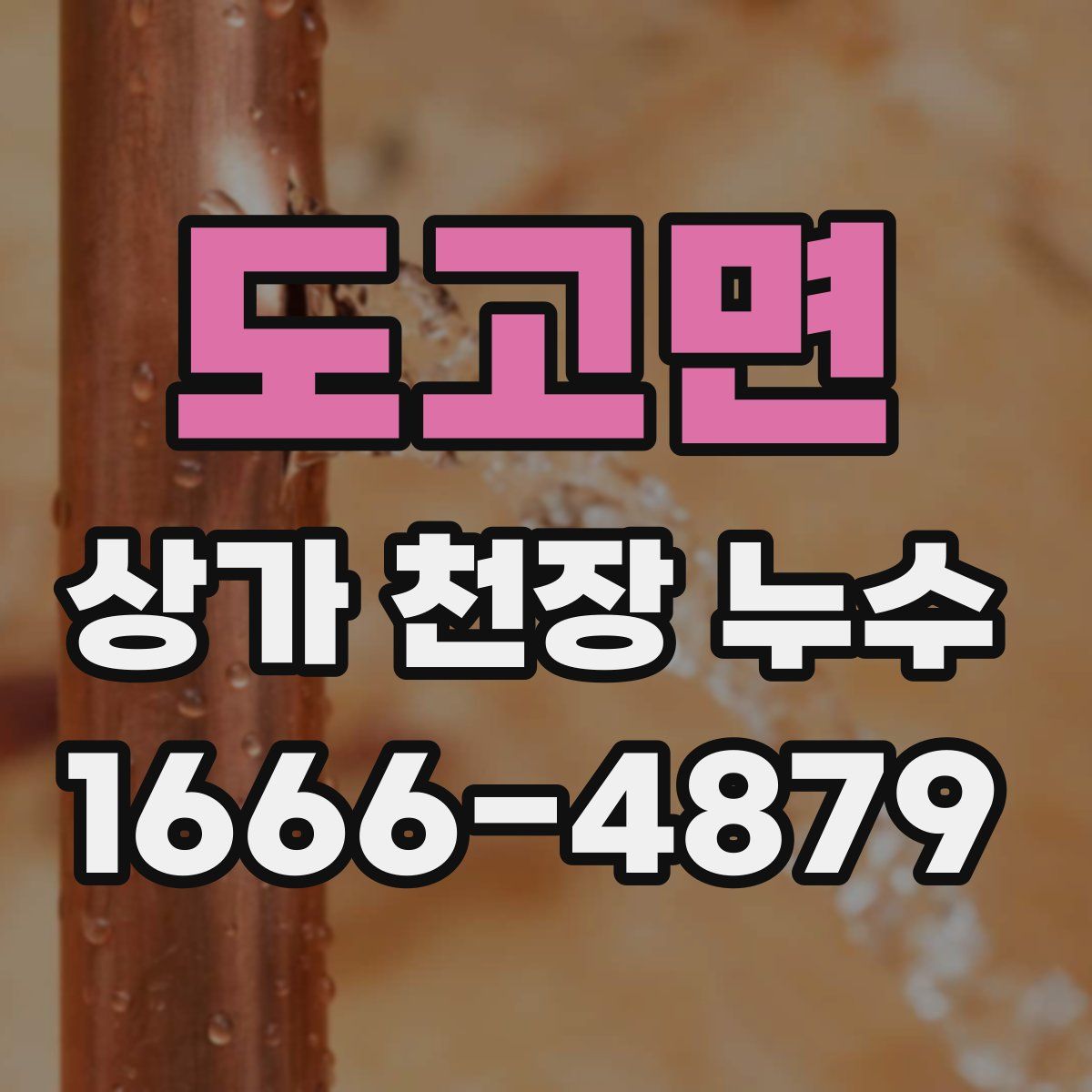 도고면 상가 천장 누수