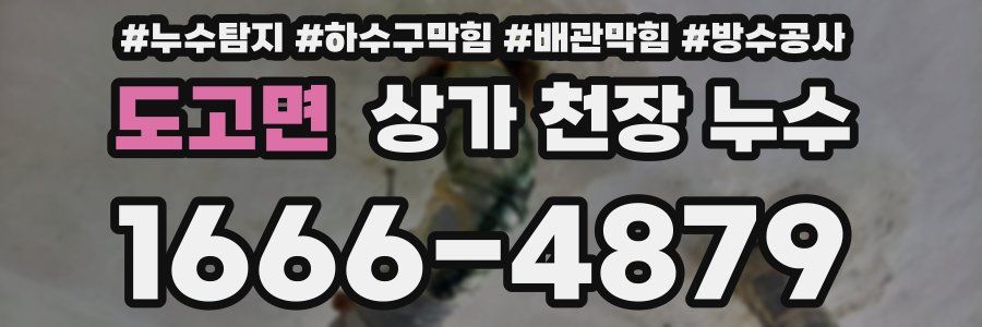 도고면 상가 천장 누수