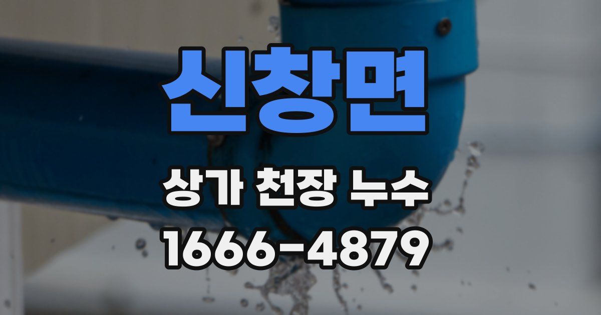 신창면 상가 천장 누수