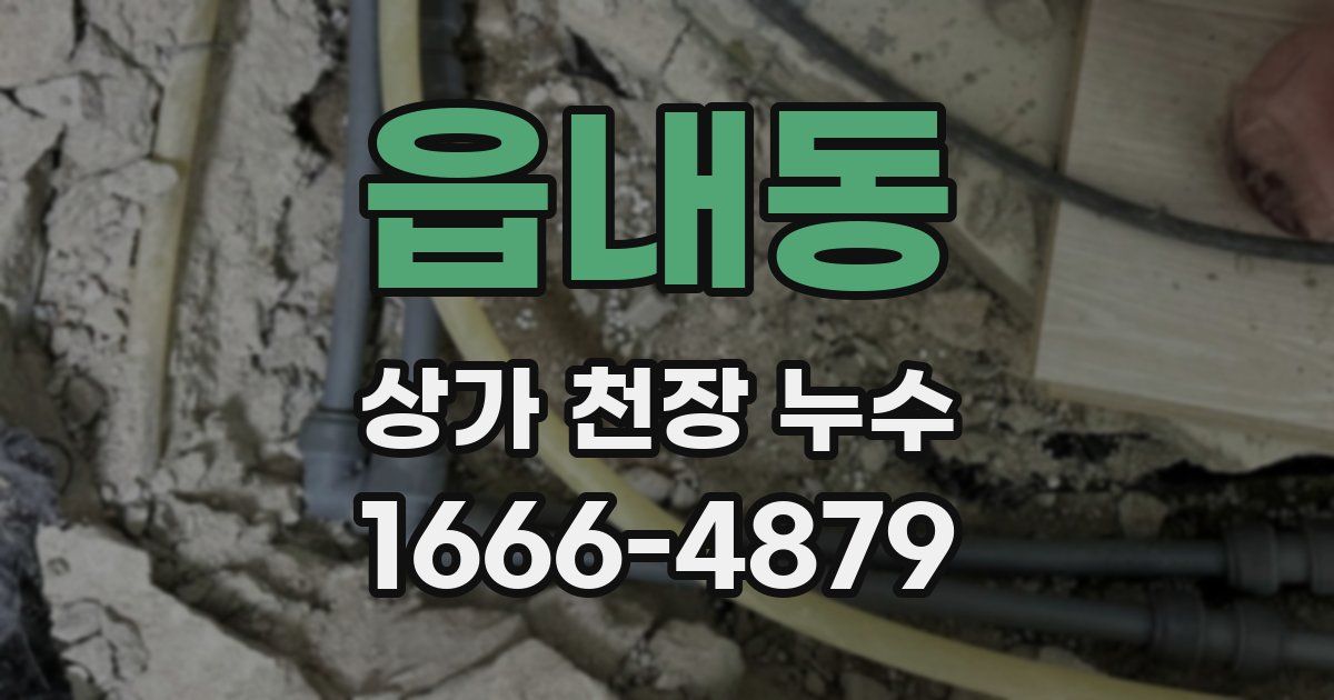 읍내동 상가 천장 누수