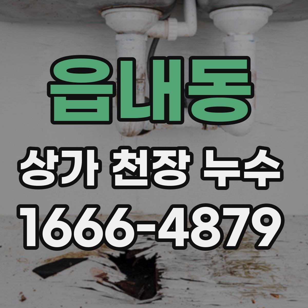 읍내동 상가 천장 누수