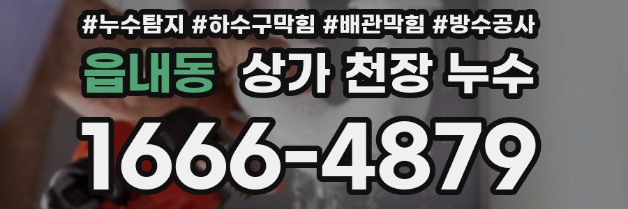 읍내동 상가 천장 누수