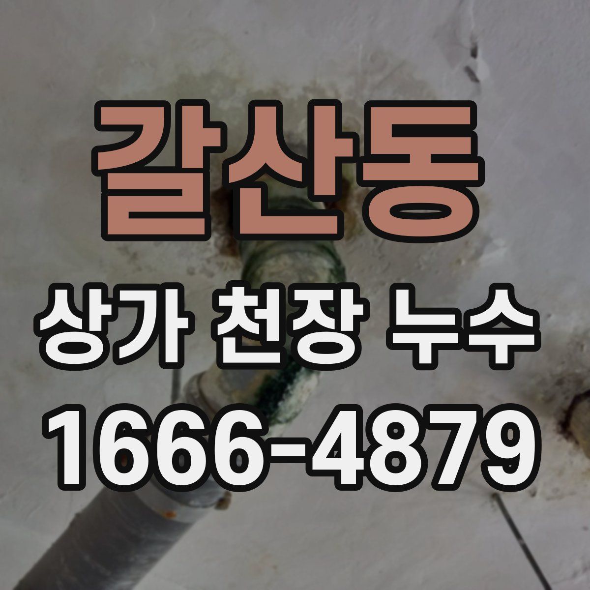 갈산동 상가 천장 누수