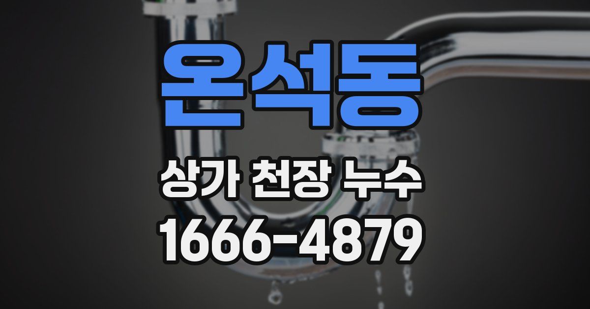 온석동 상가 천장 누수