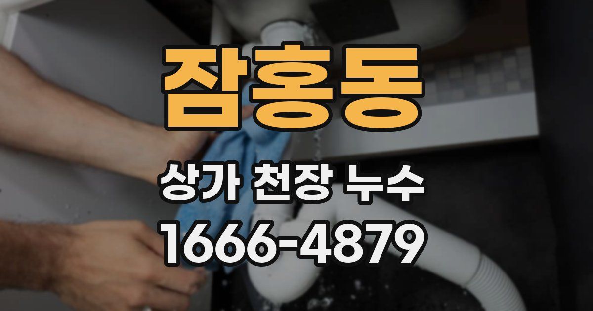 잠홍동 상가 천장 누수