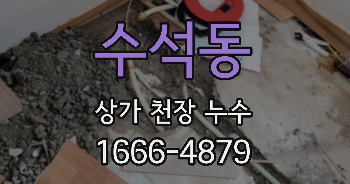 수석동 상가 천장 누수