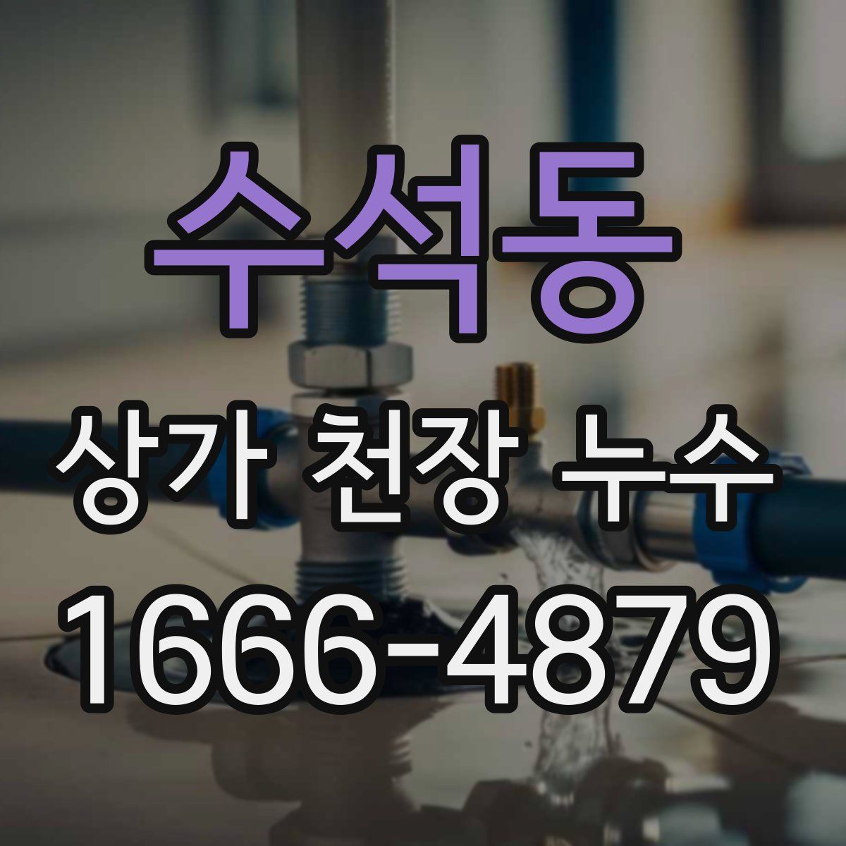 수석동 상가 천장 누수