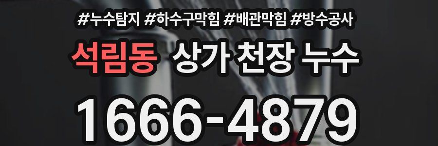 석림동 상가 천장 누수