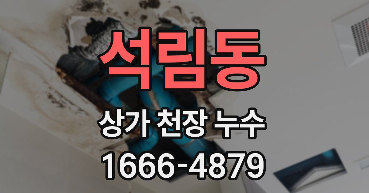 석림동 상가 천장 누수