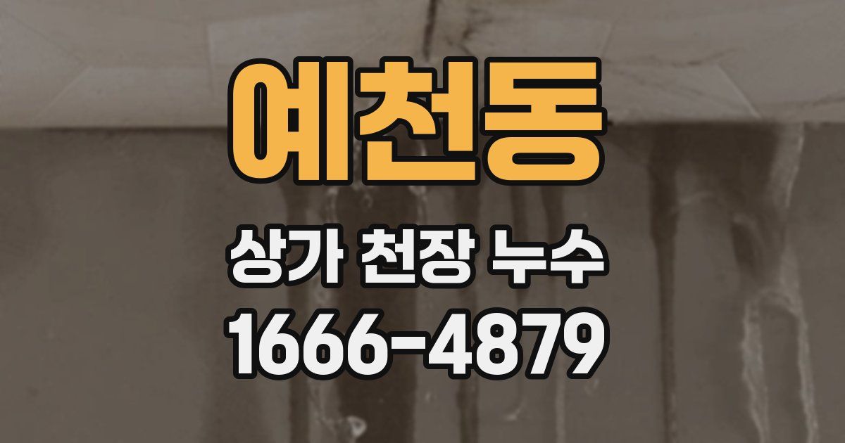 예천동 상가 천장 누수