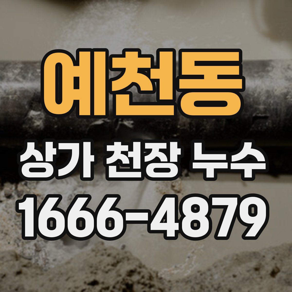 예천동 상가 천장 누수