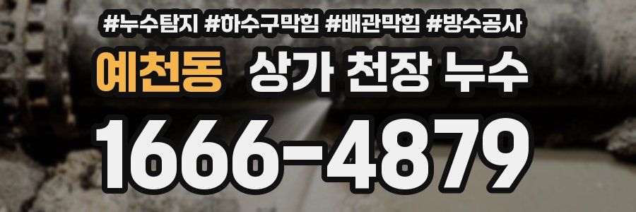 예천동 상가 천장 누수