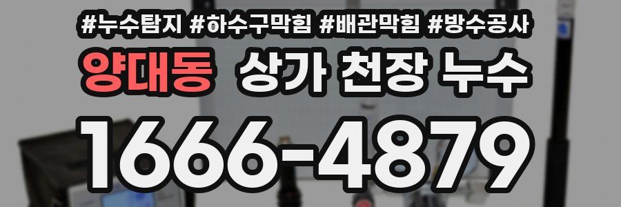 양대동 상가 천장 누수