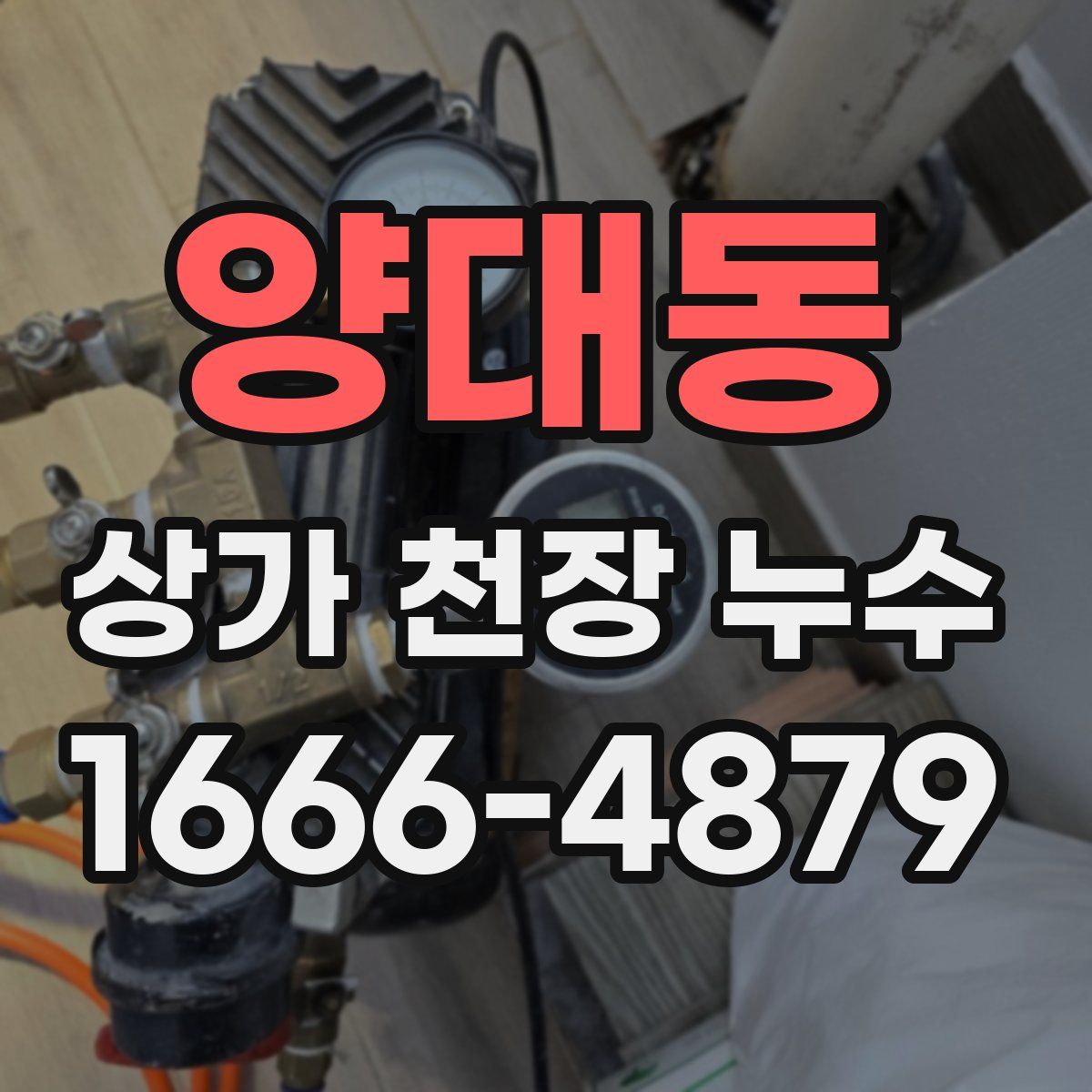 양대동 상가 천장 누수