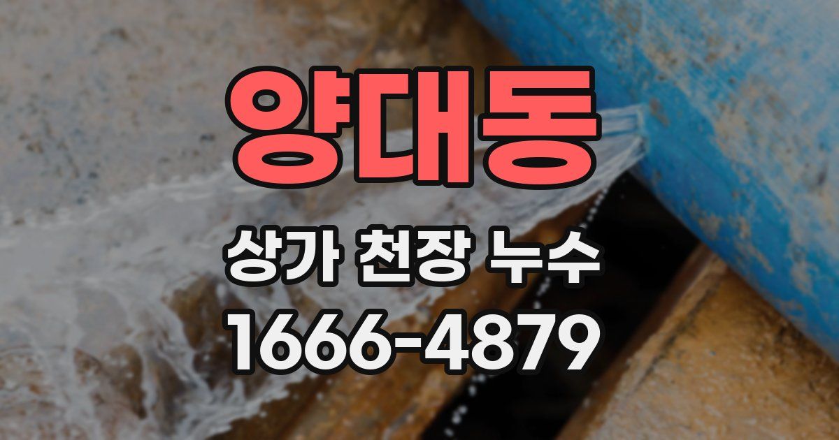 양대동 상가 천장 누수