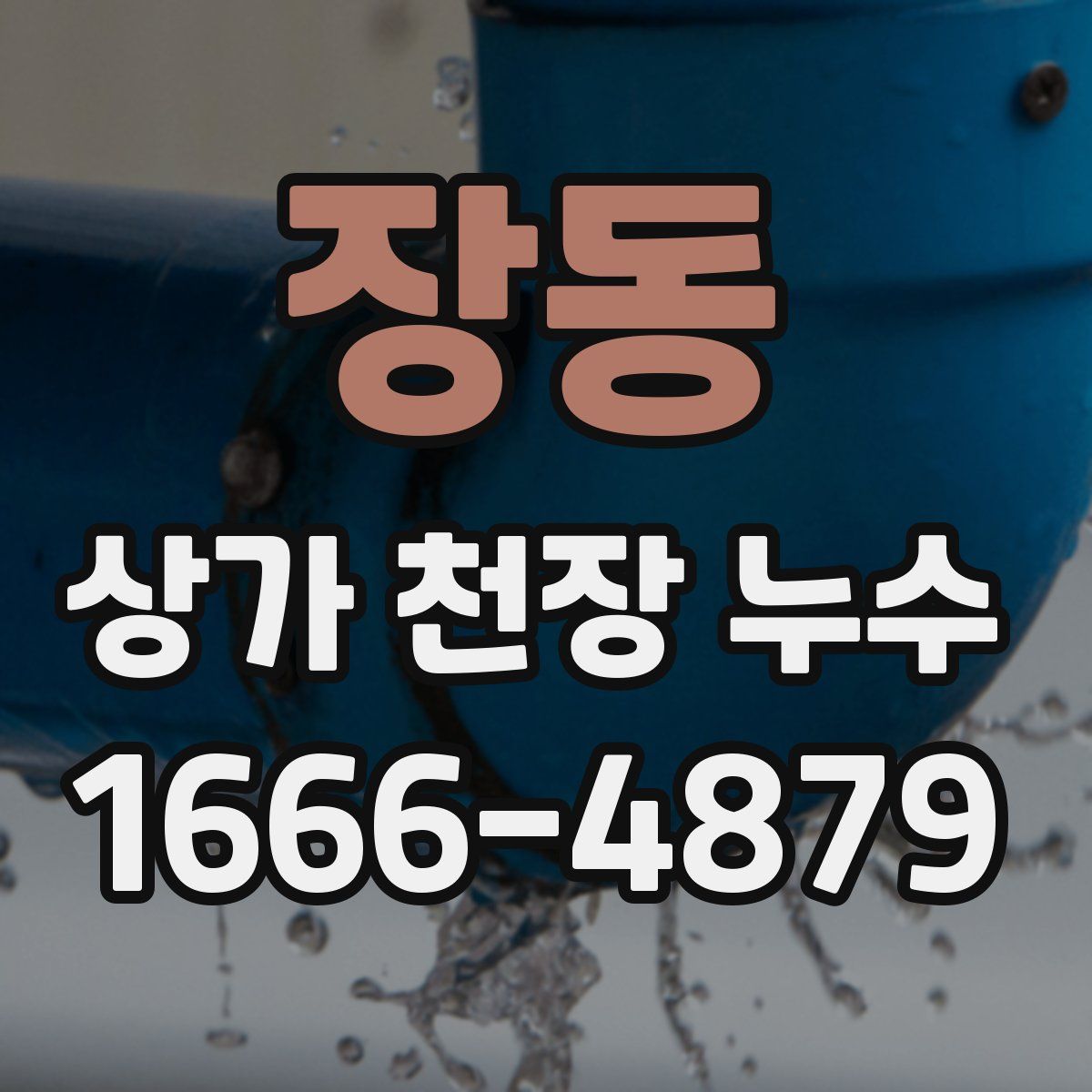 장동 상가 천장 누수