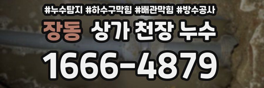 장동 상가 천장 누수