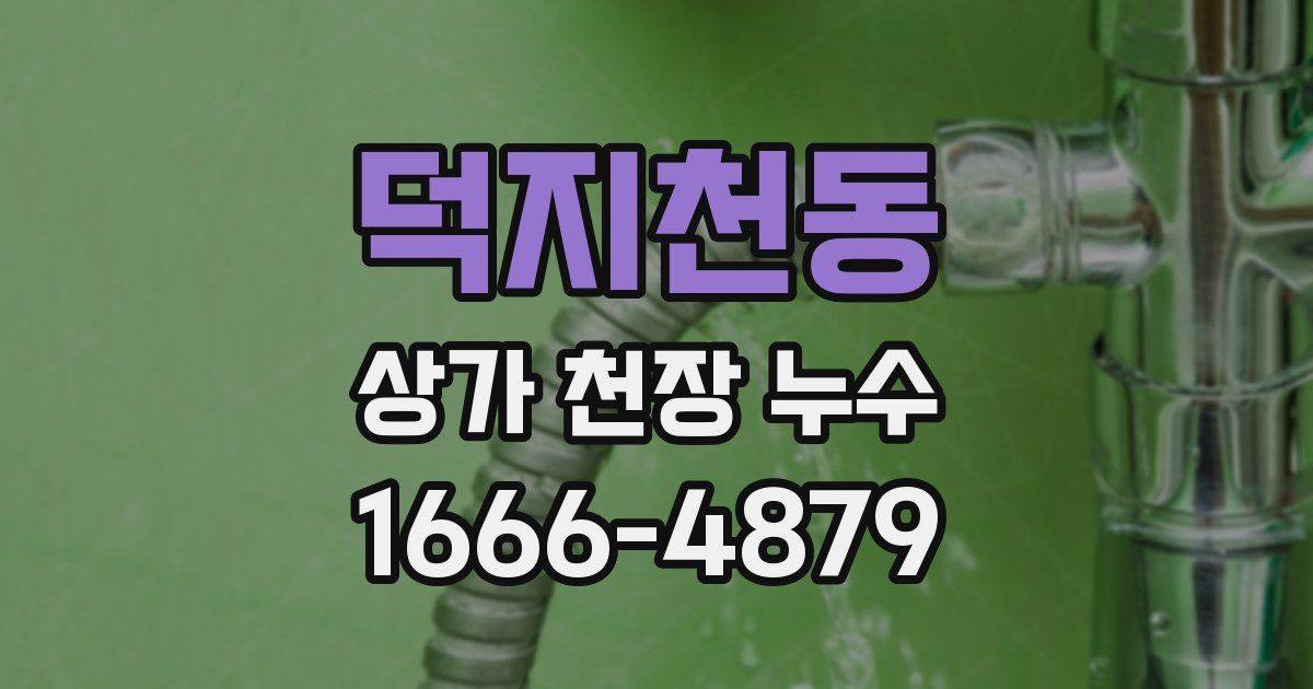 덕지천동 상가 천장 누수