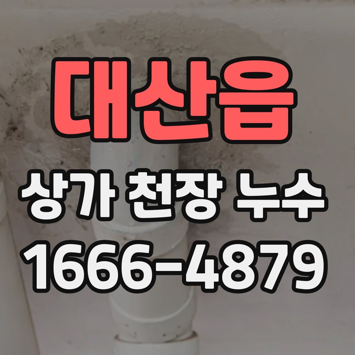대산읍 상가 천장 누수