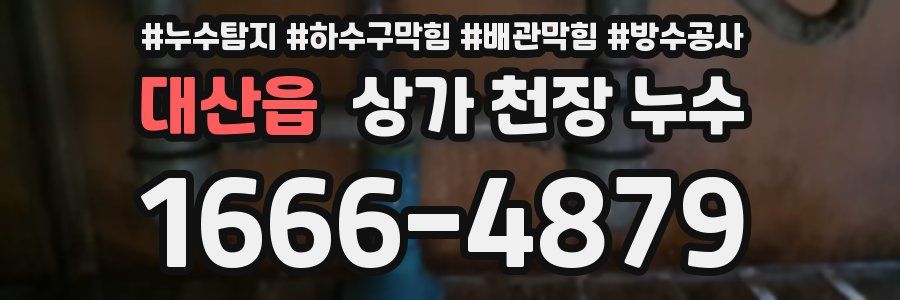 대산읍 상가 천장 누수
