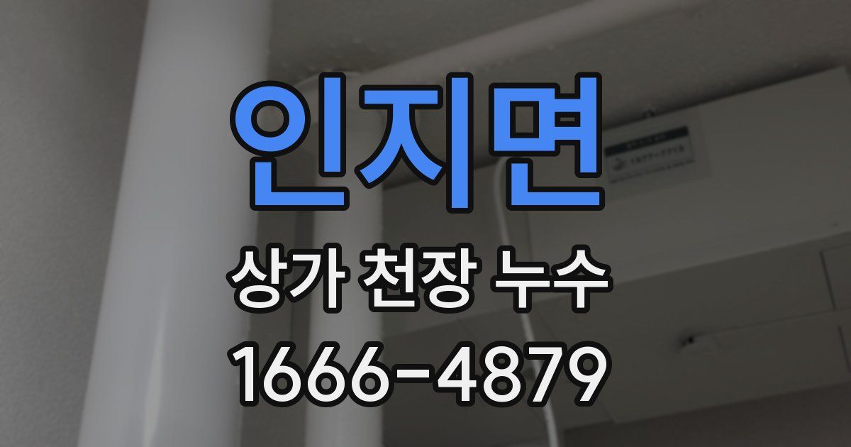 인지면 상가 천장 누수