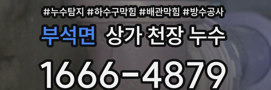 부석면 상가 천장 누수