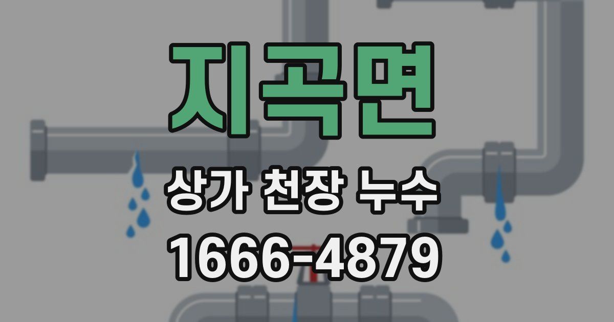지곡면 상가 천장 누수