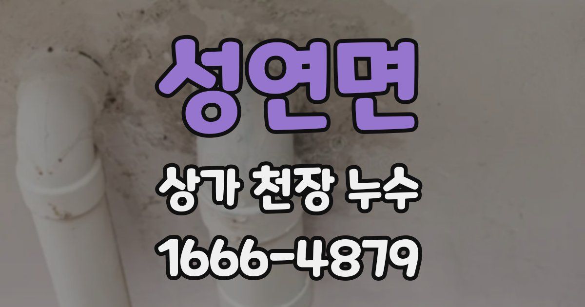 성연면 상가 천장 누수