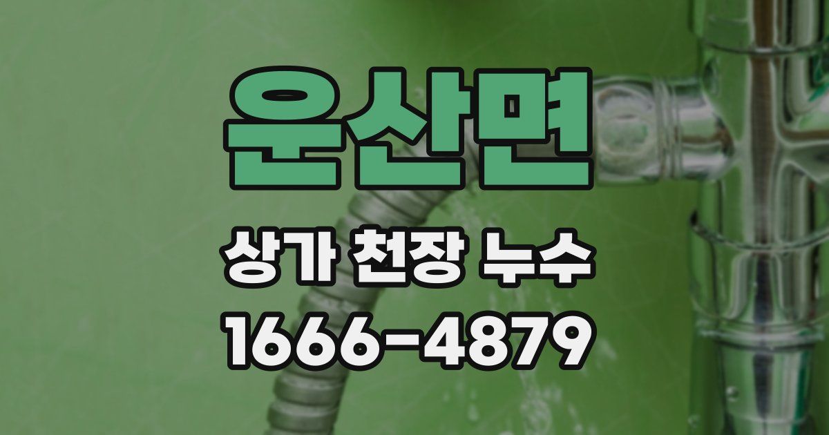 운산면 상가 천장 누수