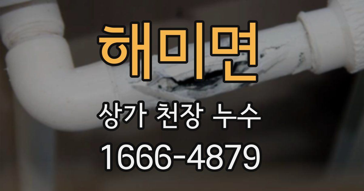 해미면 상가 천장 누수