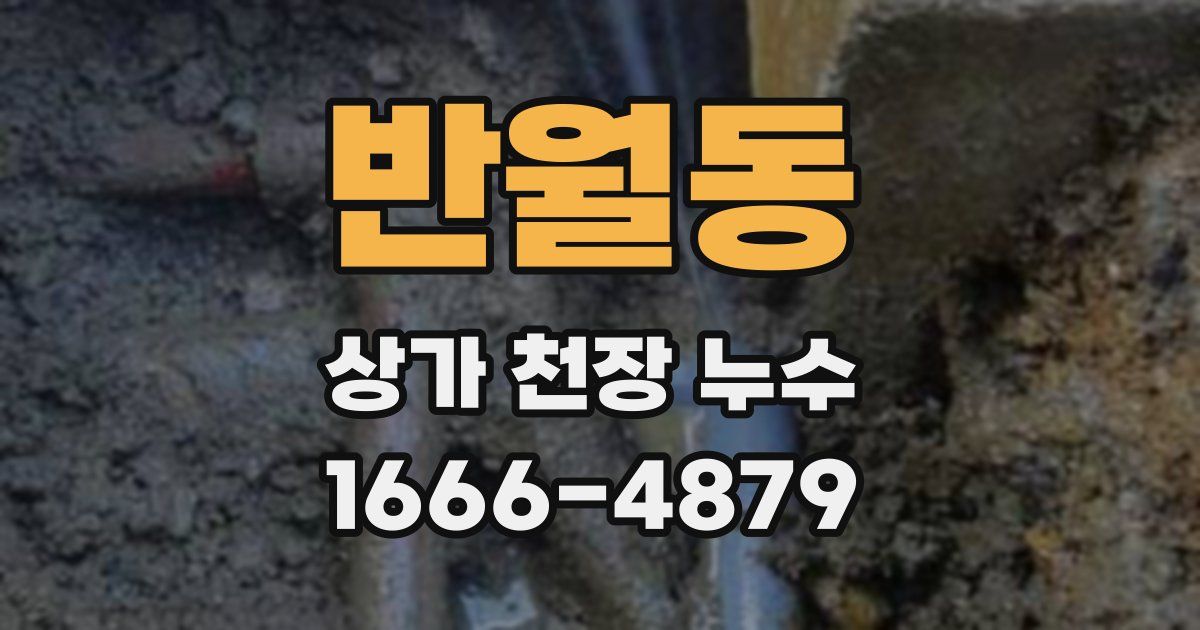 반월동 상가 천장 누수