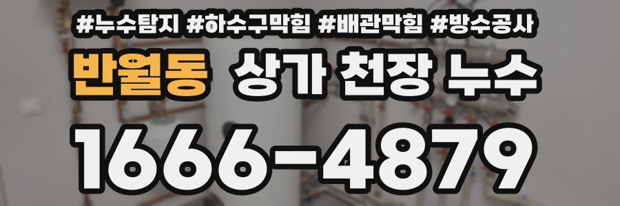 반월동 상가 천장 누수