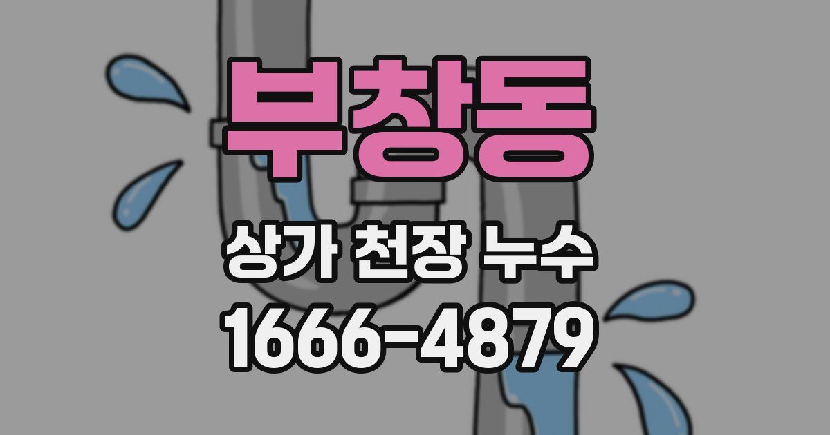 부창동 상가 천장 누수