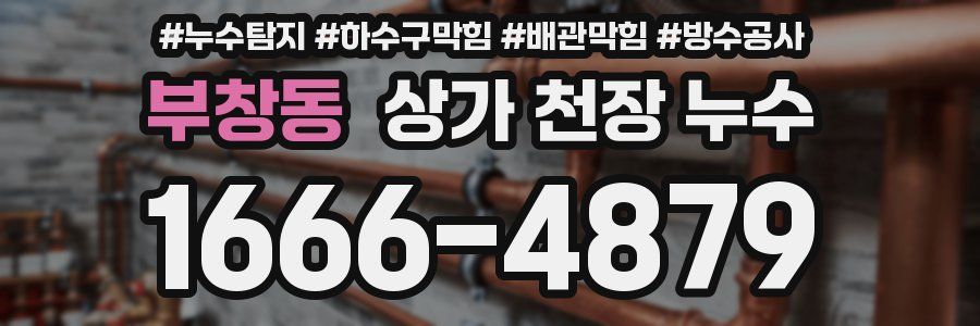 부창동 상가 천장 누수