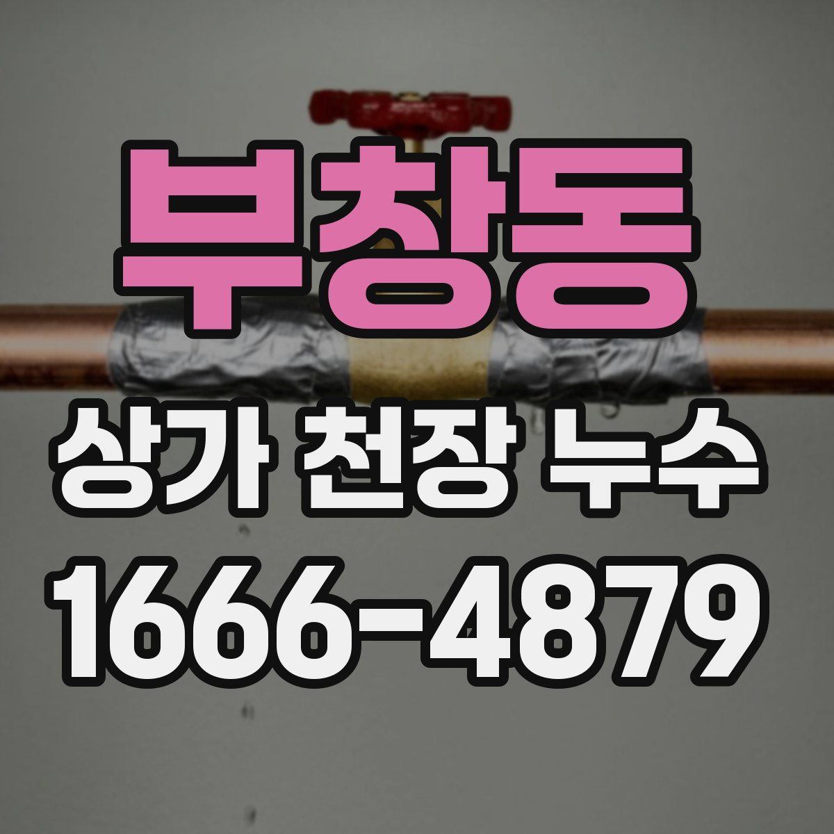 부창동 상가 천장 누수