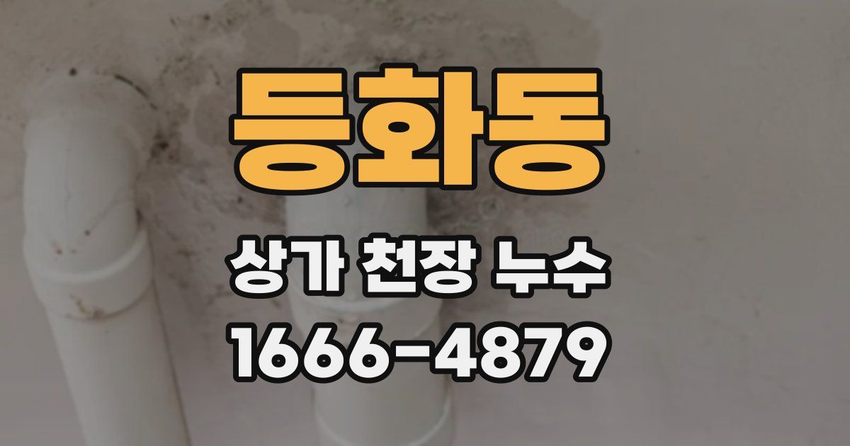 등화동 상가 천장 누수