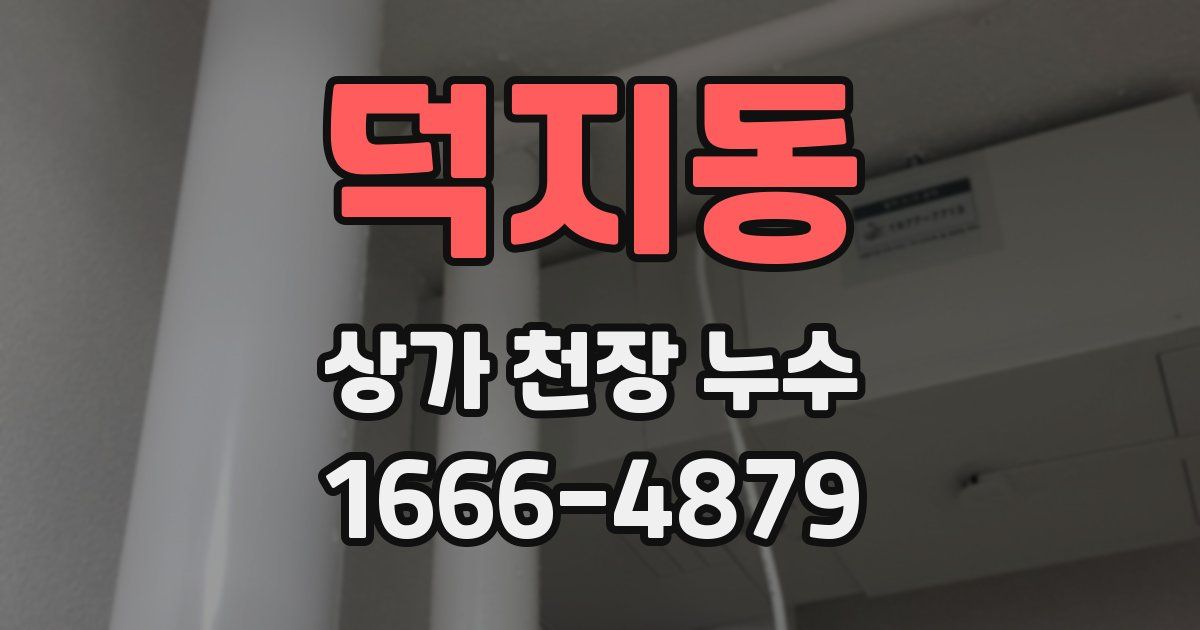 덕지동 상가 천장 누수